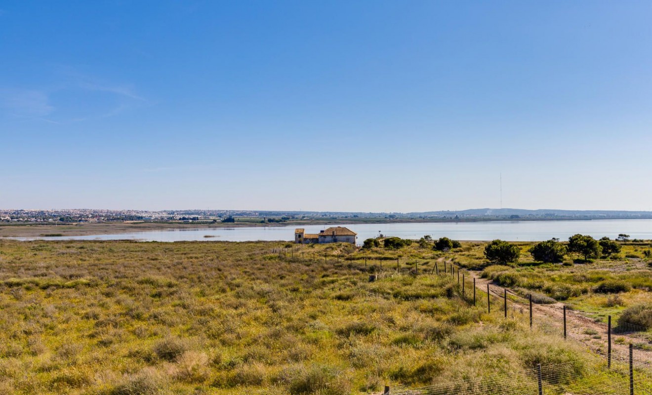 Sale - Detached house - Rojales