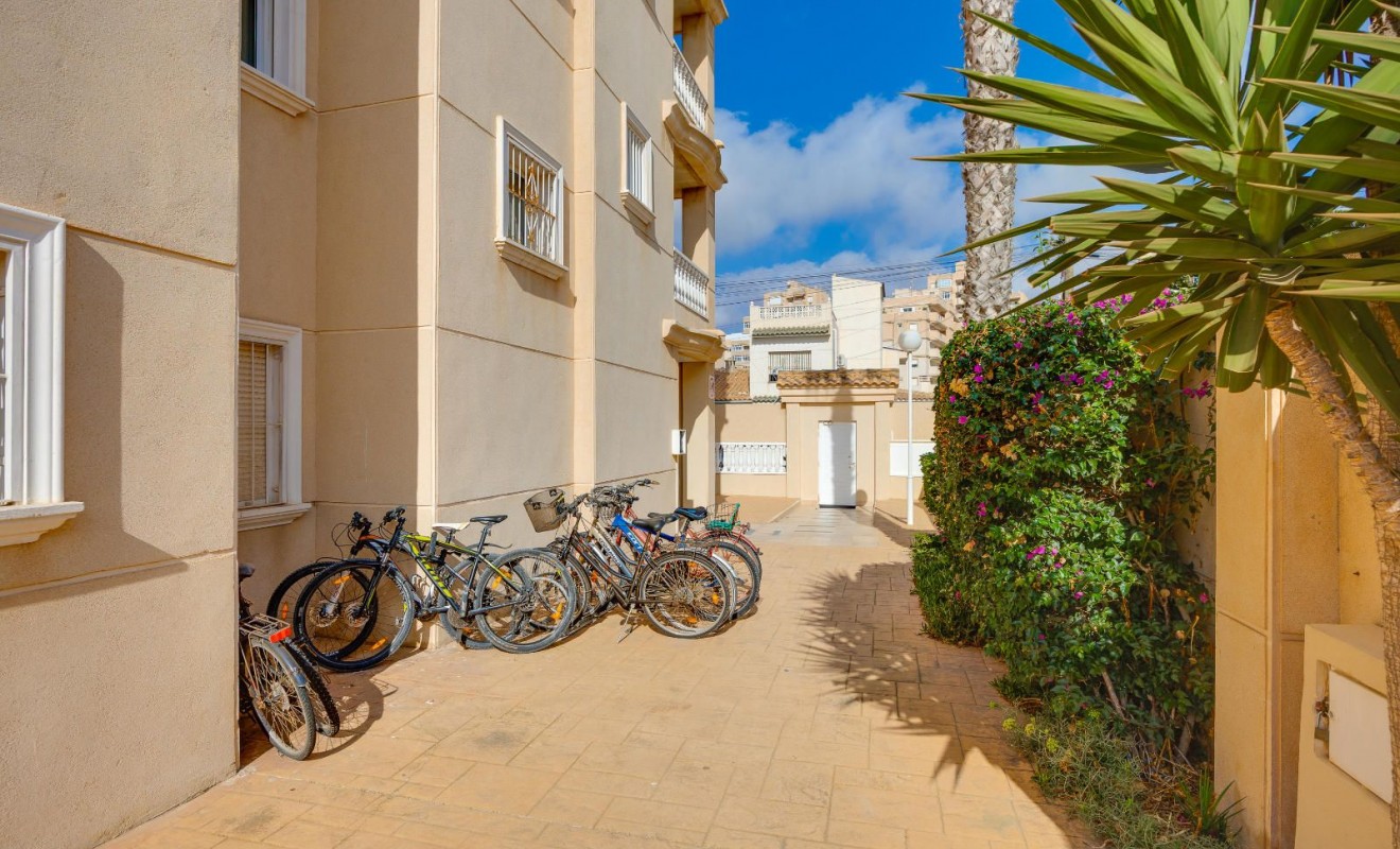 Wederverkoop - Appartement - Torrevieja - Nueva Torrevieja