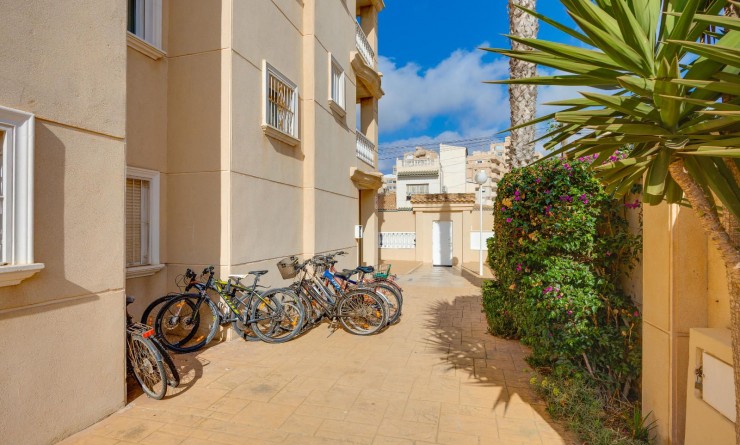 Wederverkoop - Appartement - Torrevieja - Nueva Torrevieja