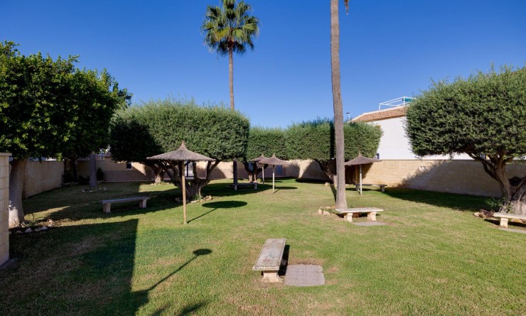 Wederverkoop - Bungalows Planta Alta - Torrevieja - Carrefour