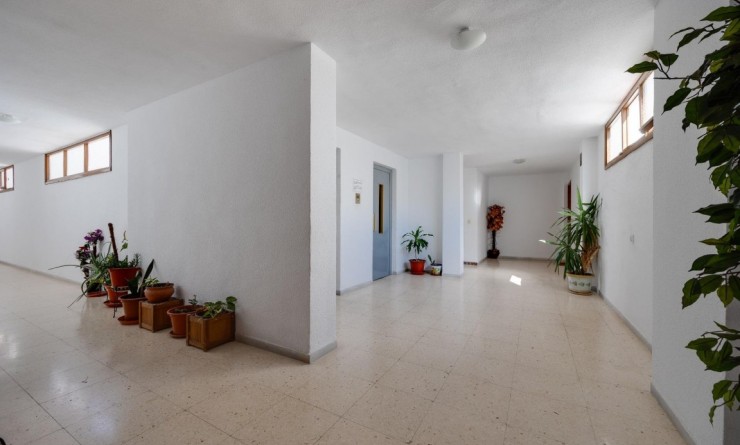 Sale - Penthouse - Playa del Acequion