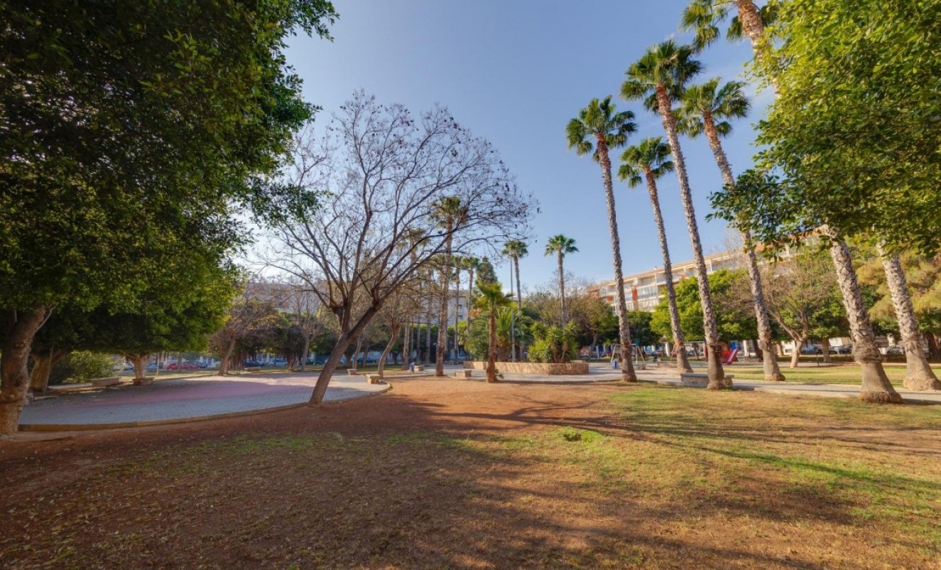 Sale - Penthouse - Playa del Acequion