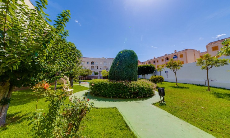 Wederverkoop - Atico - Torrevieja - Playa del Acequión