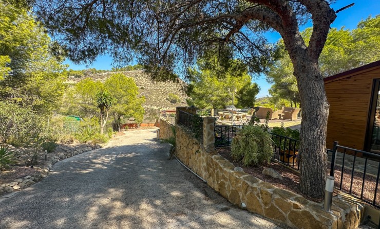 Wederverkoop - Finca / Country House - San Miguel de Salinas - Costa Blanca Sur
