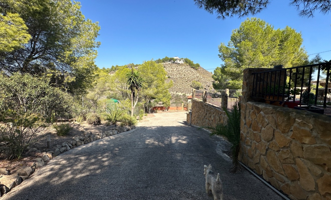 Wederverkoop - Finca / Country House - San Miguel de Salinas - Costa Blanca Sur