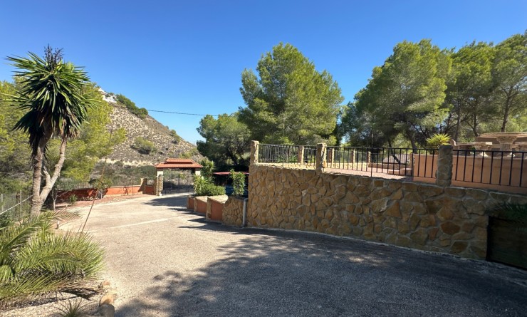 Wederverkoop - Finca / Country House - San Miguel de Salinas - Costa Blanca Sur