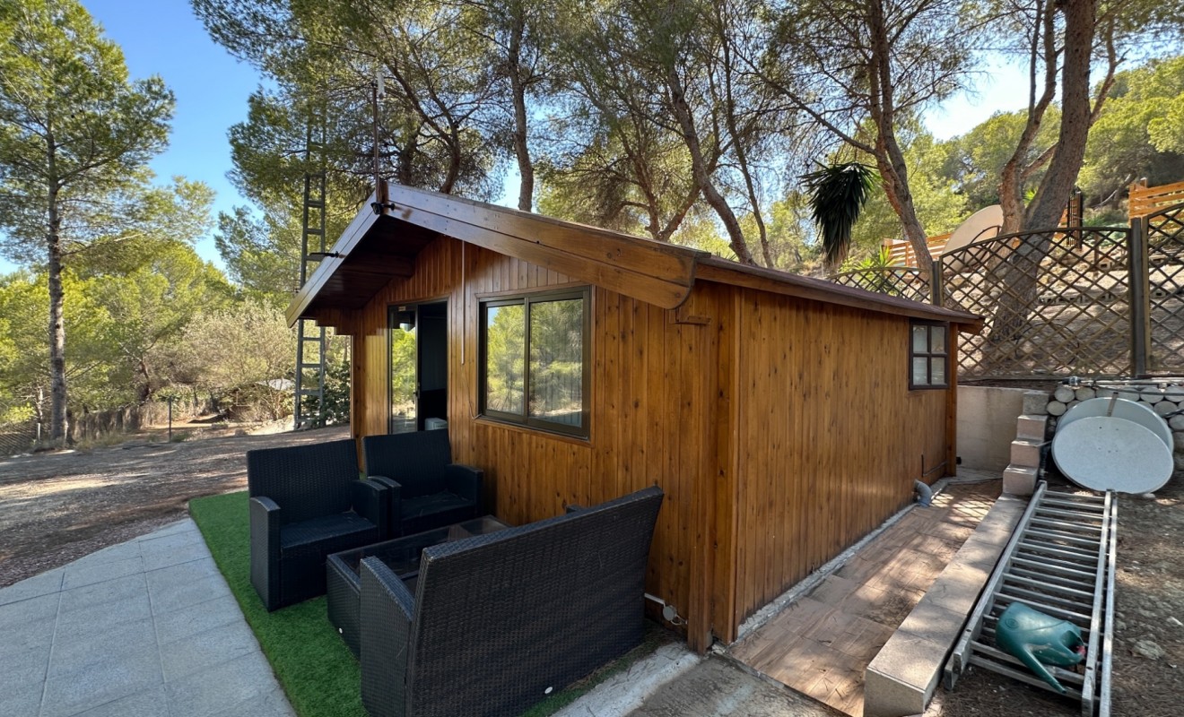 Wederverkoop - Finca / Country House - San Miguel de Salinas - Costa Blanca Sur