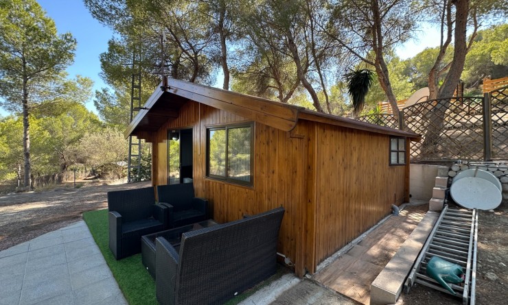 Wederverkoop - Finca / Country House - San Miguel de Salinas - Costa Blanca Sur