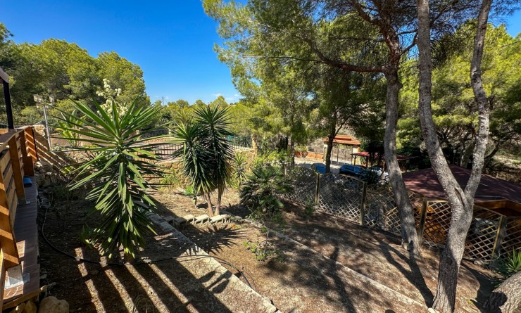 Wederverkoop - Finca / Country House - San Miguel de Salinas - Costa Blanca Sur