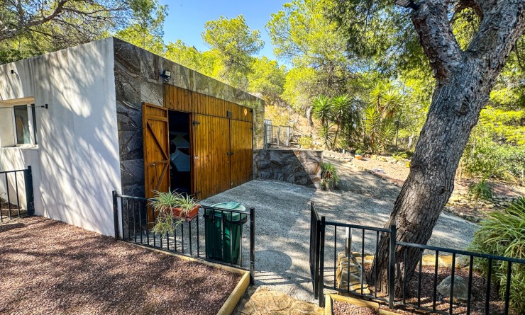 Wederverkoop - Finca / Country House - San Miguel de Salinas - Costa Blanca Sur