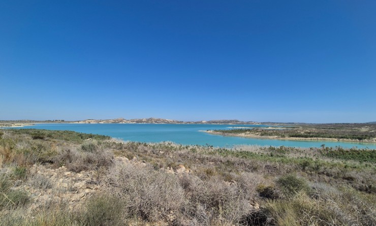 Wederverkoop - Finca / Country House - San Miguel de Salinas - Costa Blanca Sur