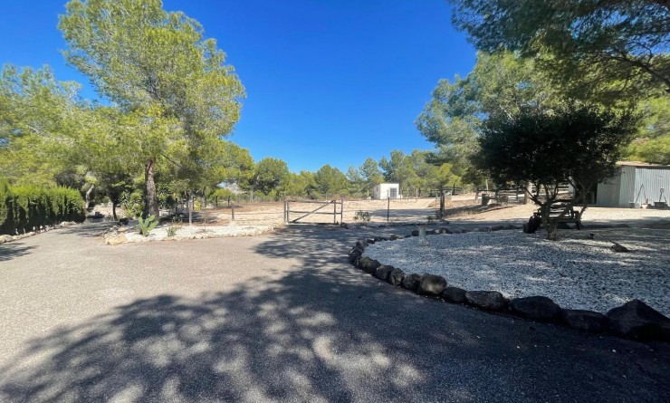 Wederverkoop - Villa - Orihuela - Torremendo
