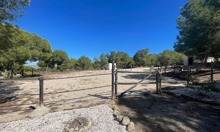 Wederverkoop - Villa - Orihuela - Torremendo
