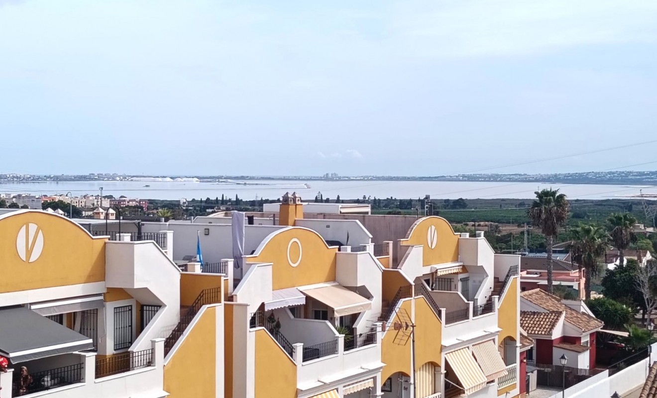 Wederverkoop - Apartment / flat - Los Montesinos - Urbanizacion montesol