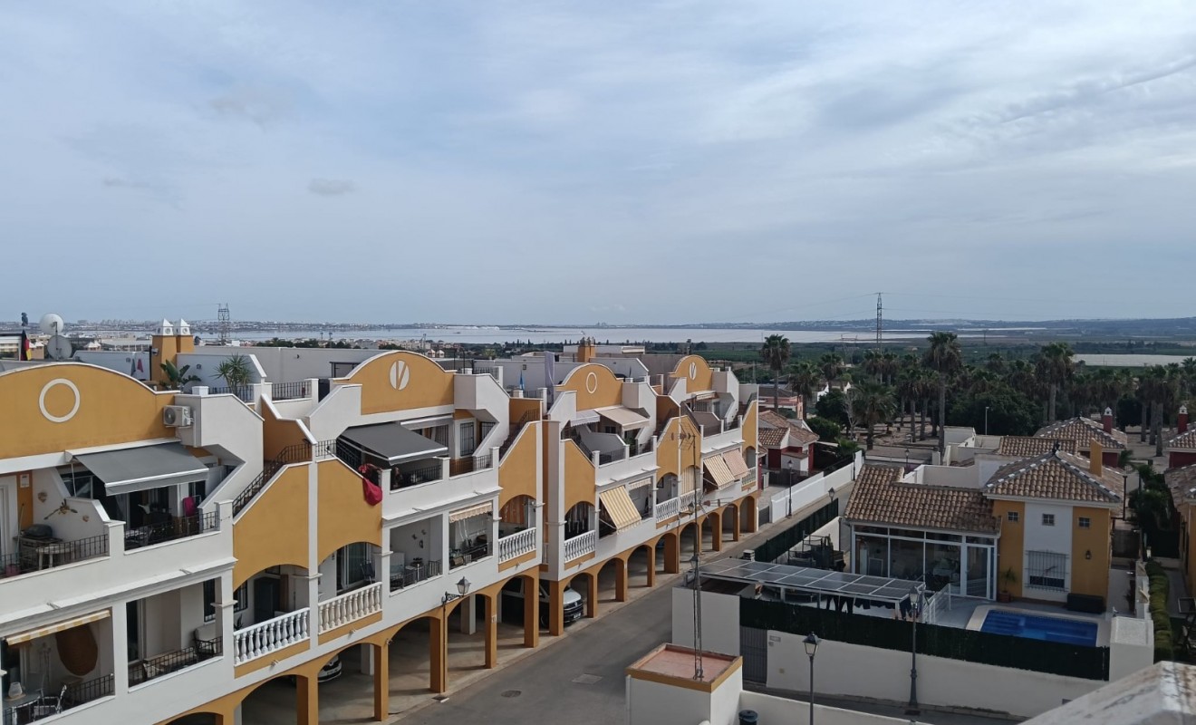 Wederverkoop - Apartment / flat - Los Montesinos - Urbanizacion montesol
