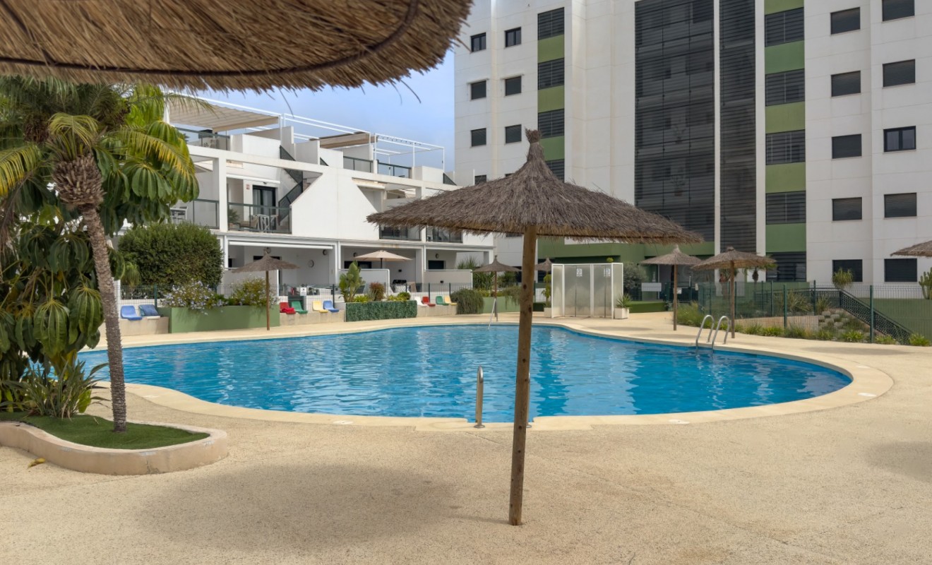 Wederverkoop - Apartment / flat - Pilar de la Horadada - Mil Palmeras