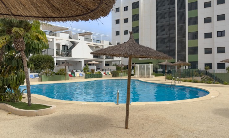 Wederverkoop - Apartment / flat - Pilar de la Horadada - Mil Palmeras