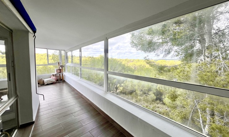 Sale - Villa - Pinar de Campoverde