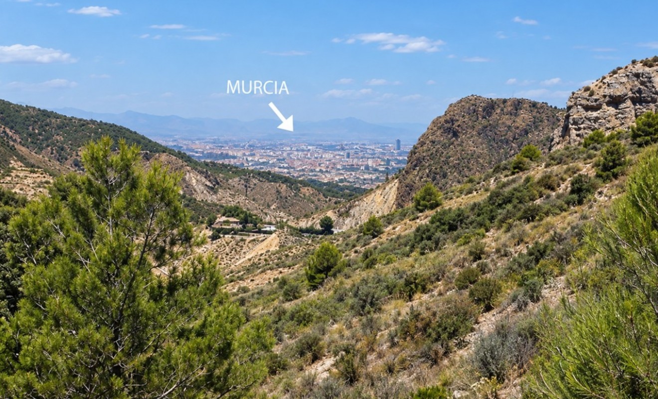 Revente - Finca - Gea Y Truyols
