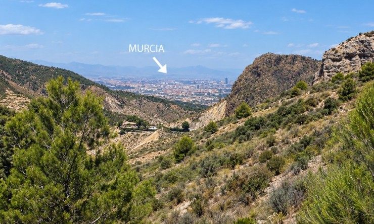 Revente - Finca - Gea Y Truyols