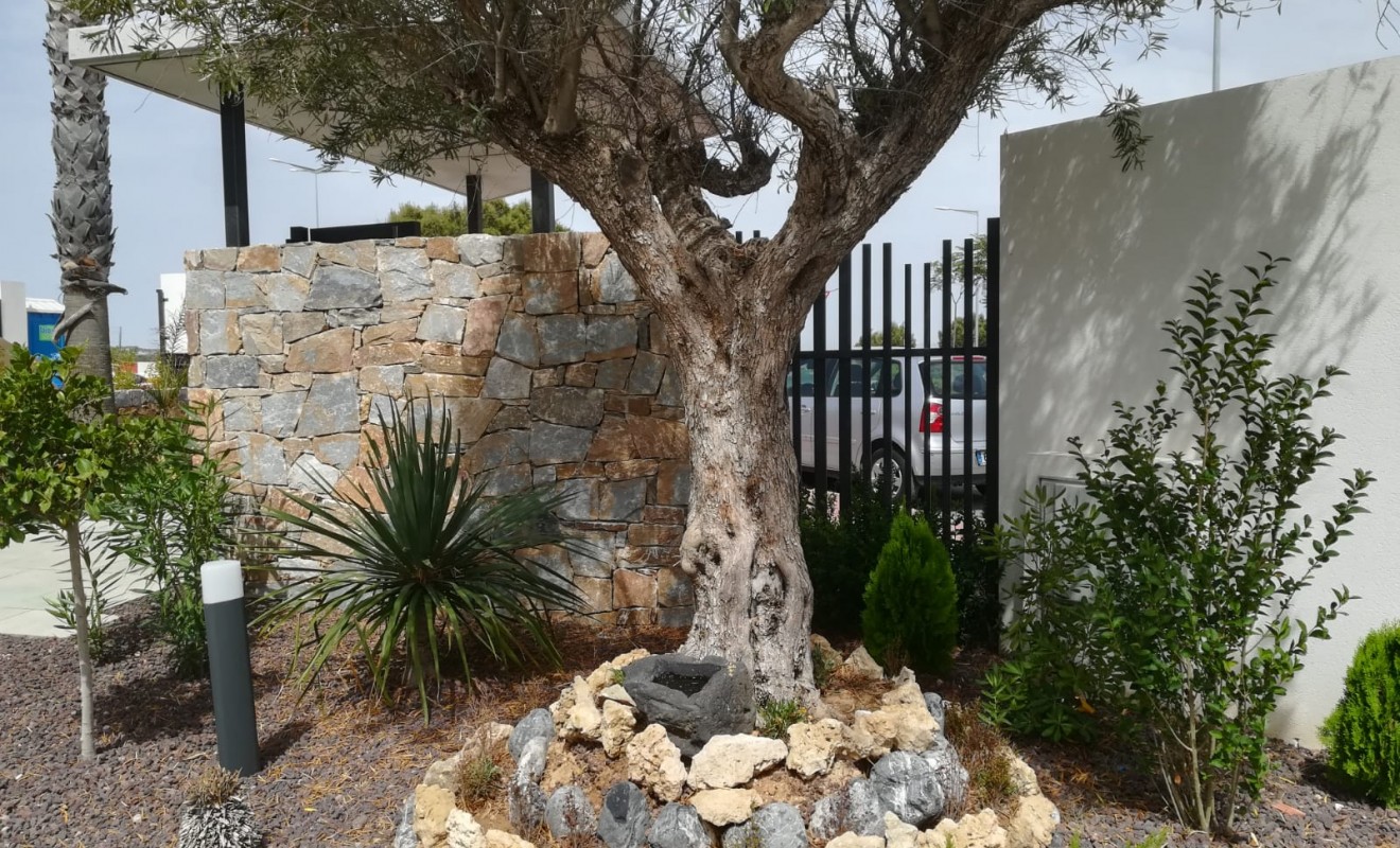 Nieuwbouw woningen - low-bungalow - Torrevieja - torrevieja