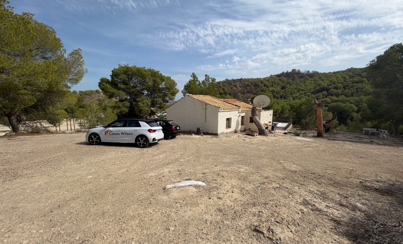 Sale - Country Property/Finca - Torremendo