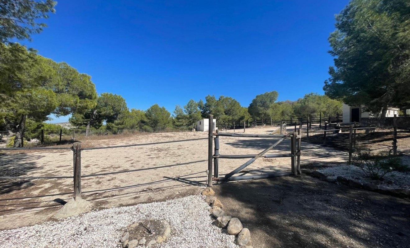 Wederverkoop - Villa - Orihuela - Torremendo