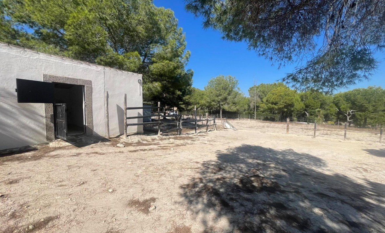 Wederverkoop - Villa - Orihuela - Torremendo