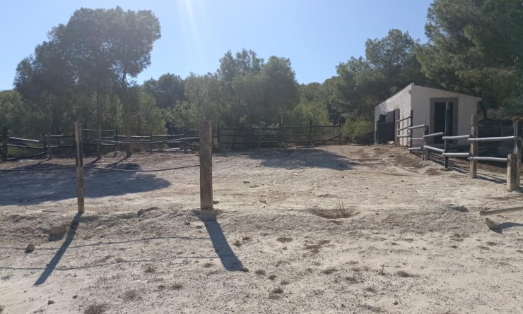 Wederverkoop - Villa - Orihuela - Torremendo