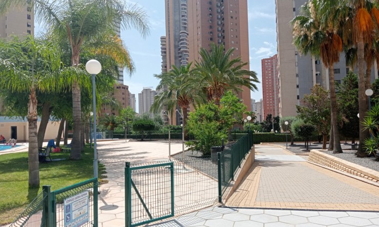 Sale - Apartment / flat - Benidorm - Levante