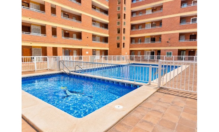 Wederverkoop - Apartamento - Torrevieja - Playa de los Naufragos