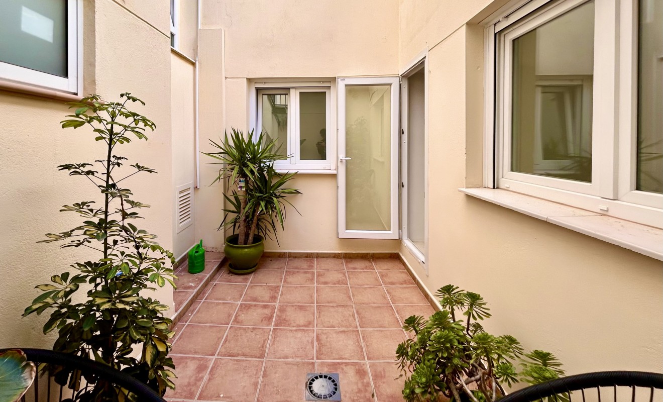 Nouvelle construction - ground-floor - Alicante (Alacant)