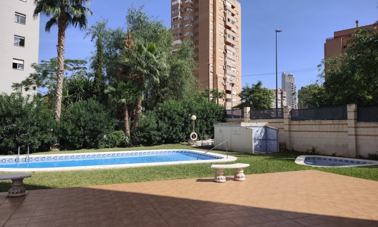 Sale - Apartment / flat - Benidorm - Zona de Poniente