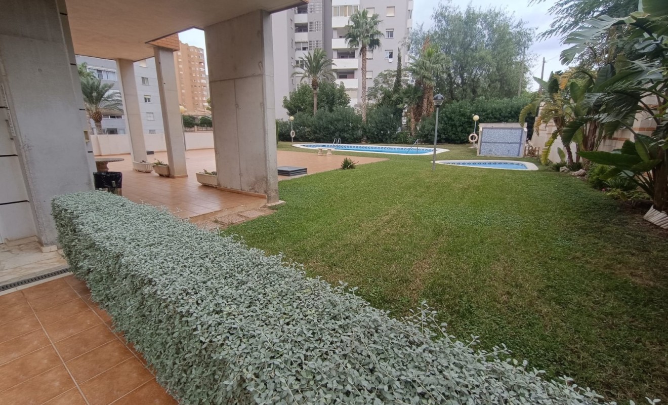 Sale - Apartment / flat - Benidorm - Zona de Poniente