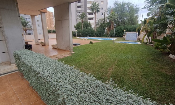 Sale - Apartment / flat - Benidorm - Zona de Poniente