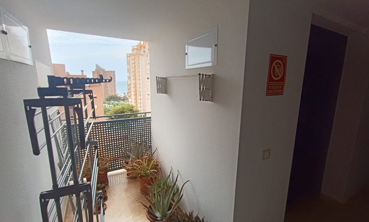 Sale - Apartment / flat - Benidorm - Zona de Poniente