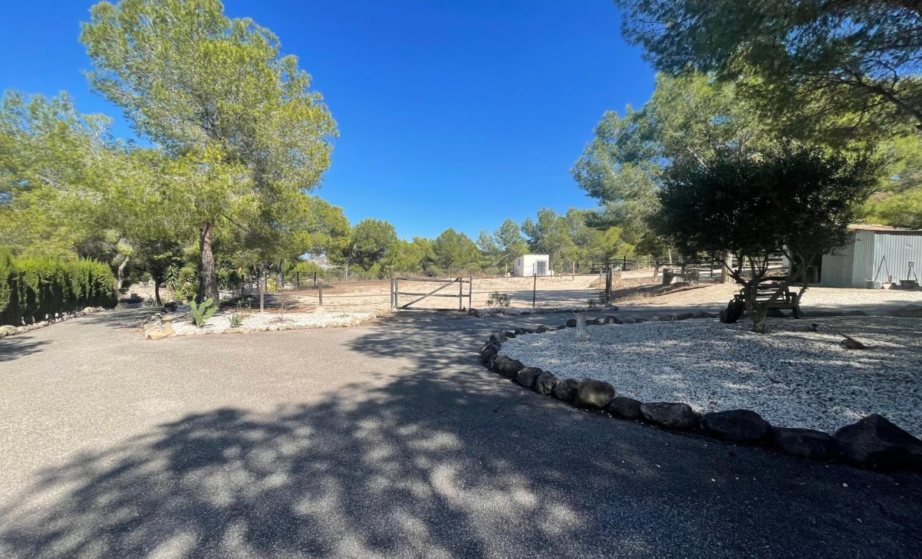 Sale - Villa - Orihuela - Torremendo