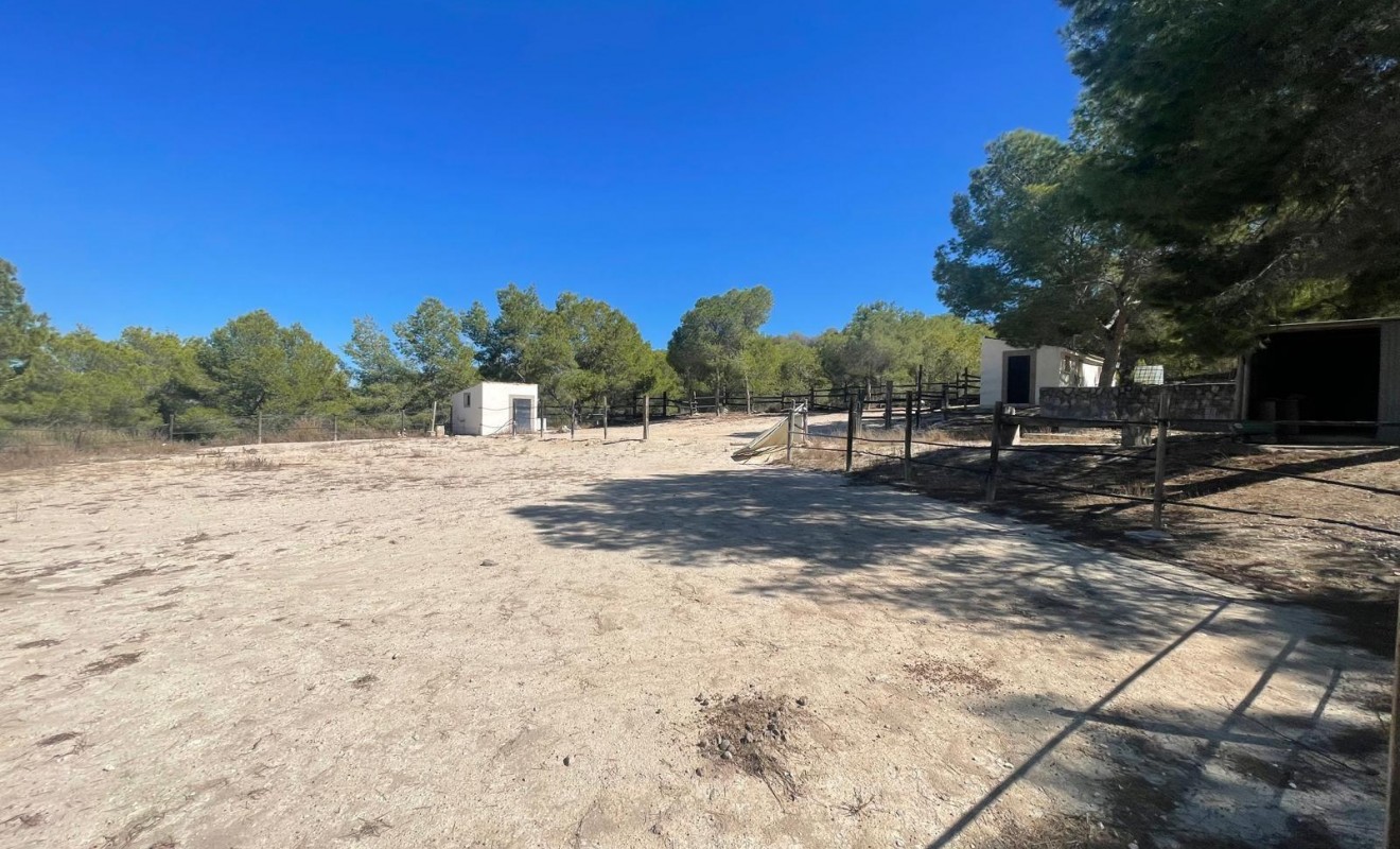 Sale - Villa - Orihuela - Torremendo