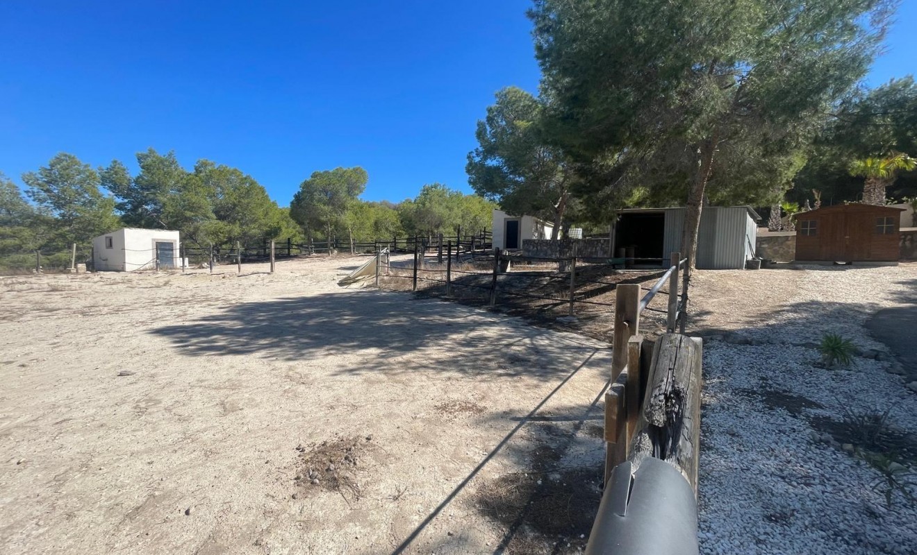 Sale - Villa - Orihuela - Torremendo