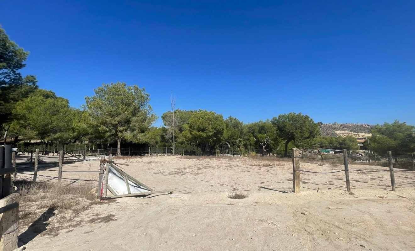 Sale - Villa - Orihuela - Torremendo