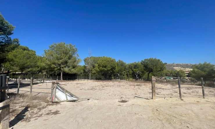 Sale - Villa - Orihuela - Torremendo