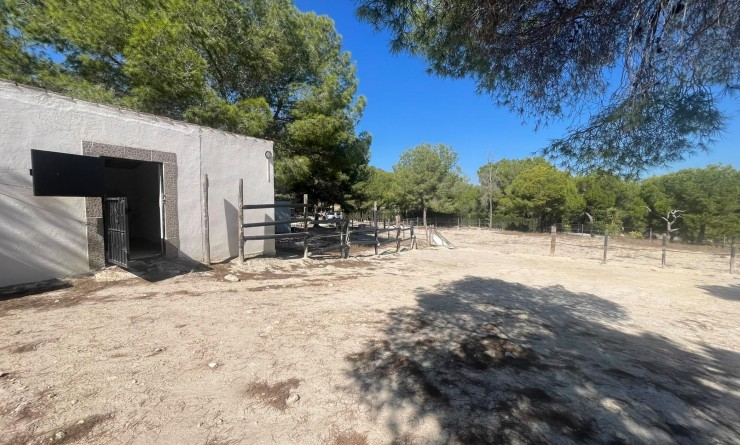 Sale - Villa - Orihuela - Torremendo