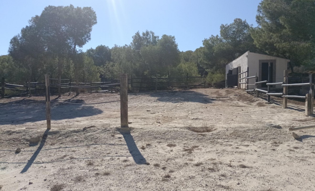 Sale - Villa - Orihuela - Torremendo