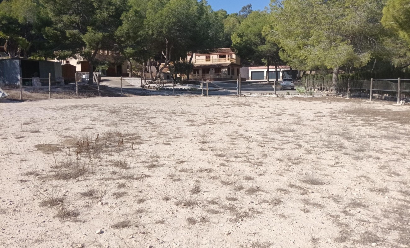 Sale - Villa - Orihuela - Torremendo