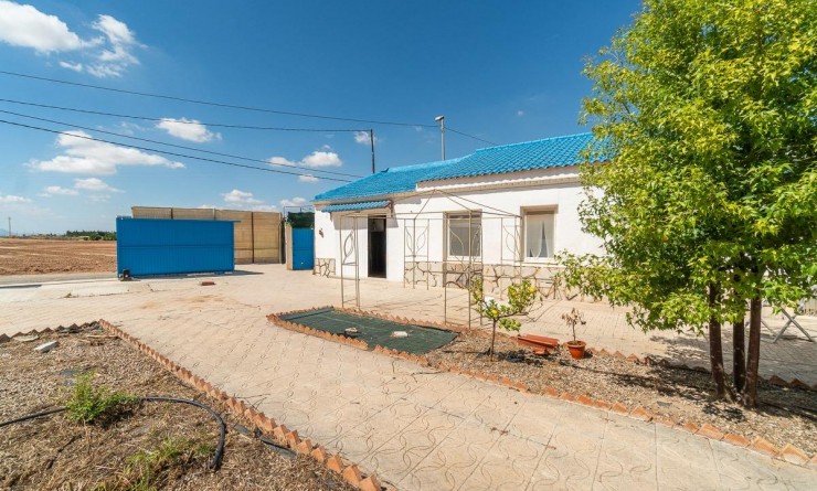 Sale - House - Torre - Pacheco - Roldán