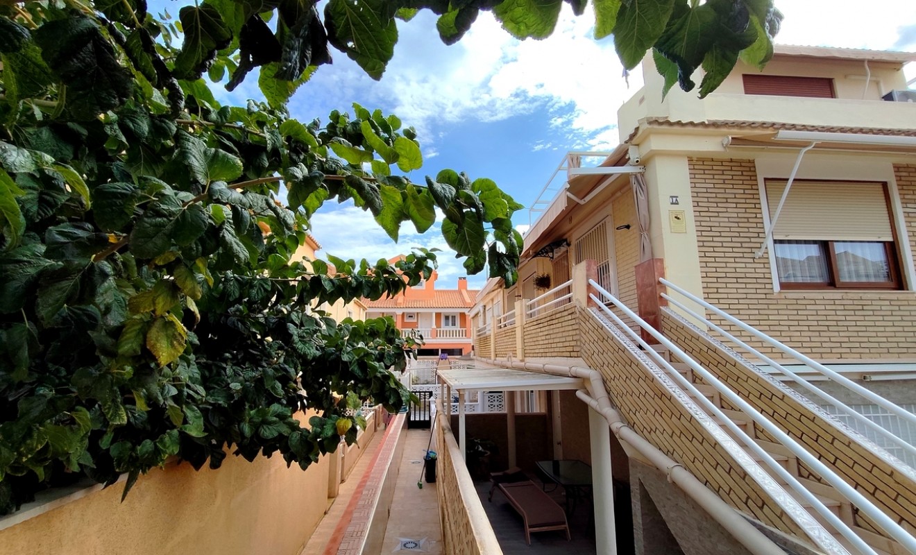 Wederverkoop - Appartement - La Mata