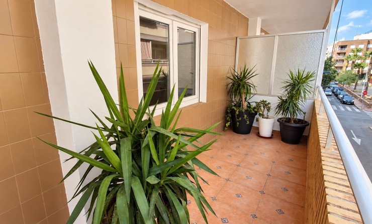Wederverkoop - Apartment / Duplex - Torrevieja