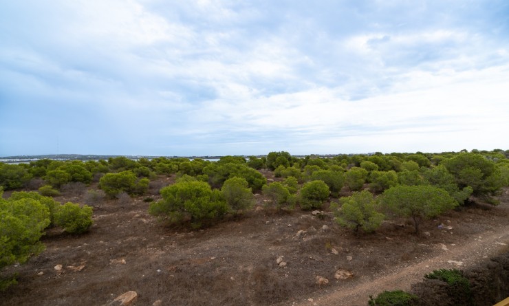 Revente - Apartment / flat - Torrevieja - La Siesta - El Salado -  Torreta