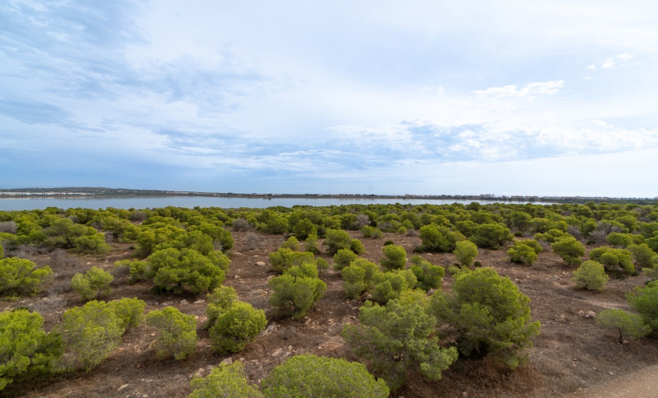 Revente - Apartment / flat - Torrevieja - La Siesta - El Salado -  Torreta