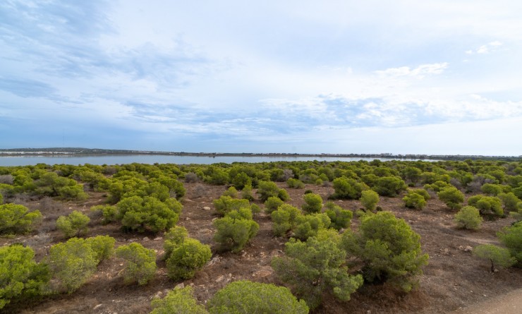 Revente - Apartment / flat - Torrevieja - La Siesta - El Salado -  Torreta